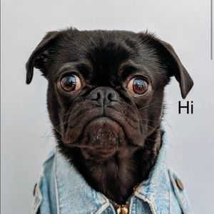 Meet your Posher, Jack